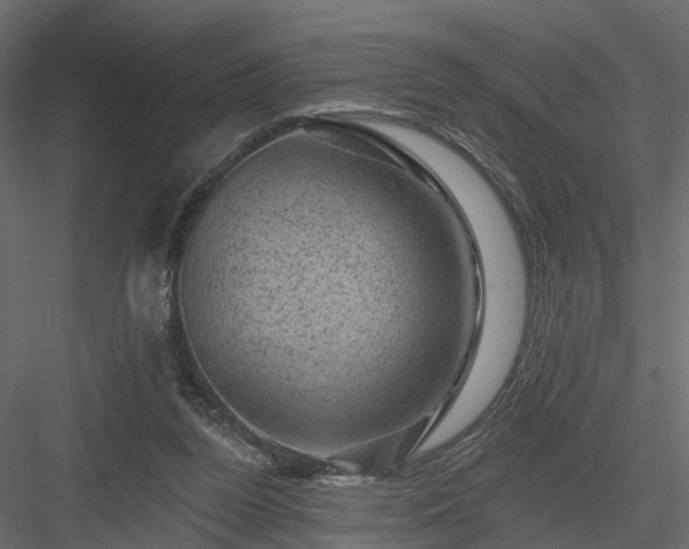 X0000084050160200702240001