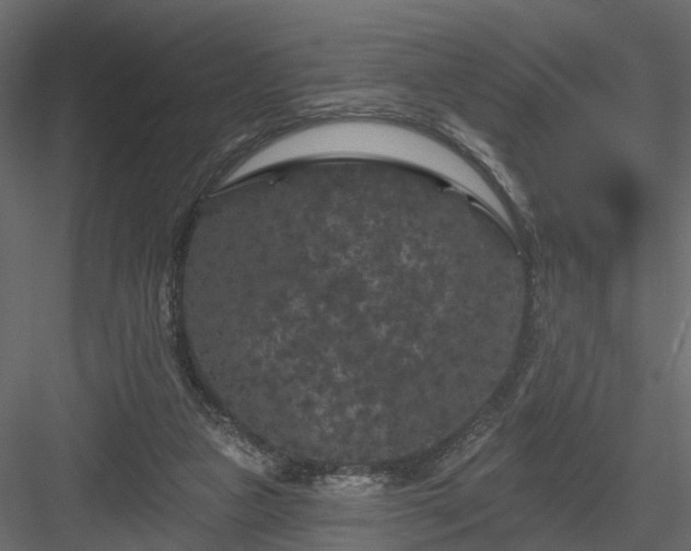 X0000084050161200702240001