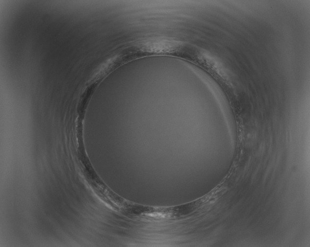 X0000084050163200702240001