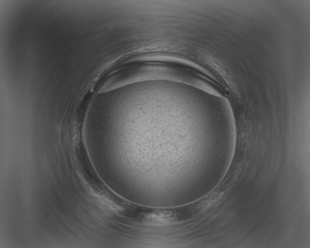 X0000084050164200702240001