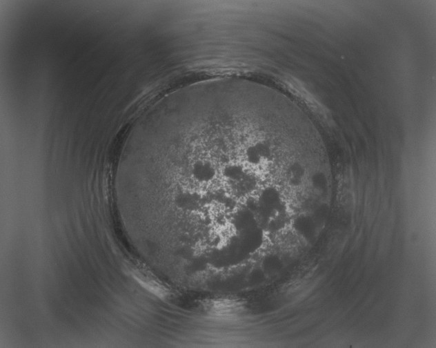 X0000084050165200702240001