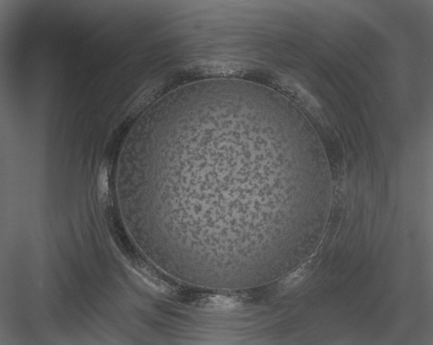 X0000084050166200702240001