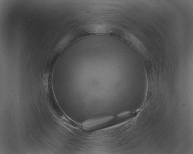 X0000084050167200702240001