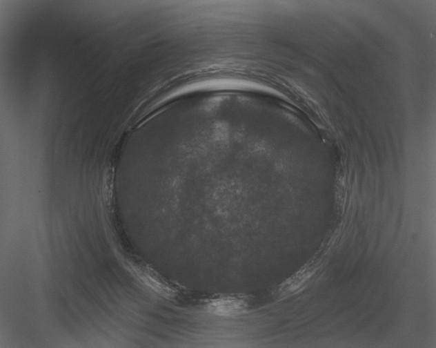 X0000084050168200702240001