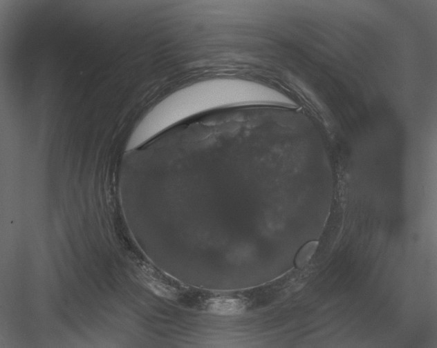 X0000084050169200702240001