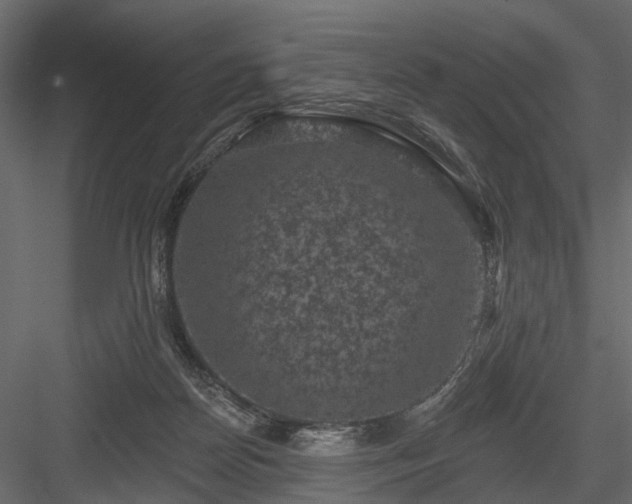 X0000084050170200702240001