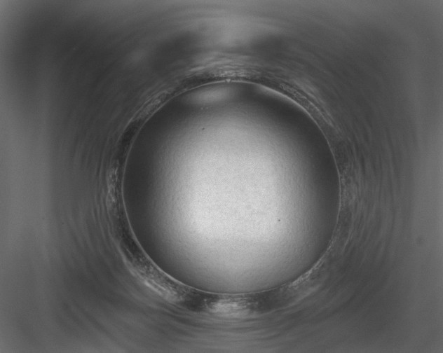 X0000084050171200702240001