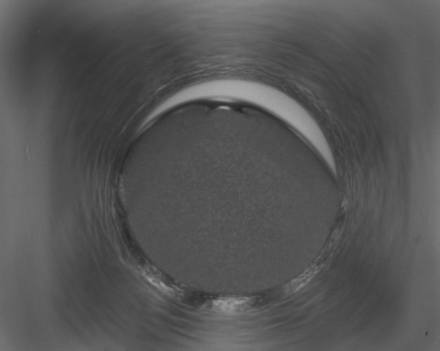 X0000084050172200702240001