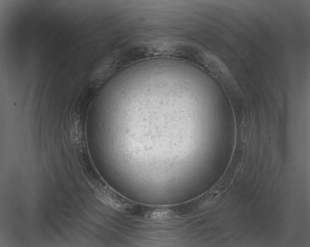 X0000084050173200702240001