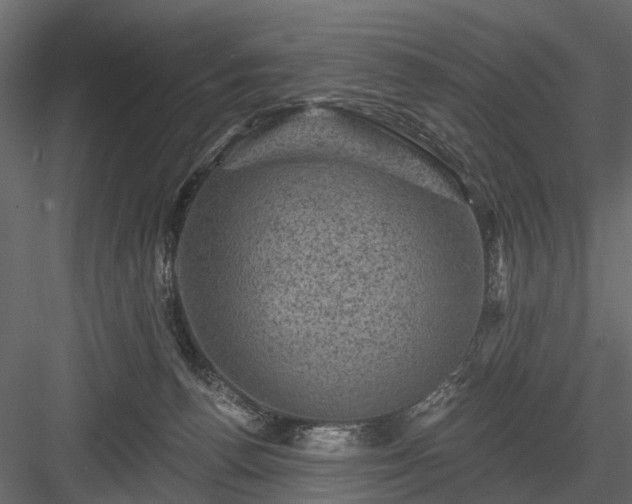 X0000084050176200702240001