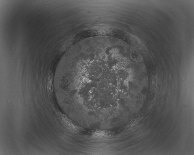 X0000084050177200702240001