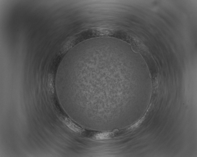 X0000084050178200702240001