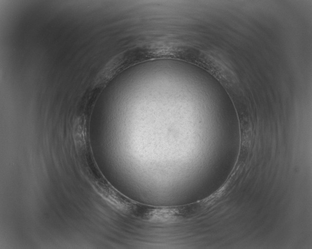 X0000084050179200702240001