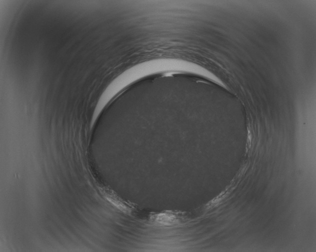 X0000084050180200702240001