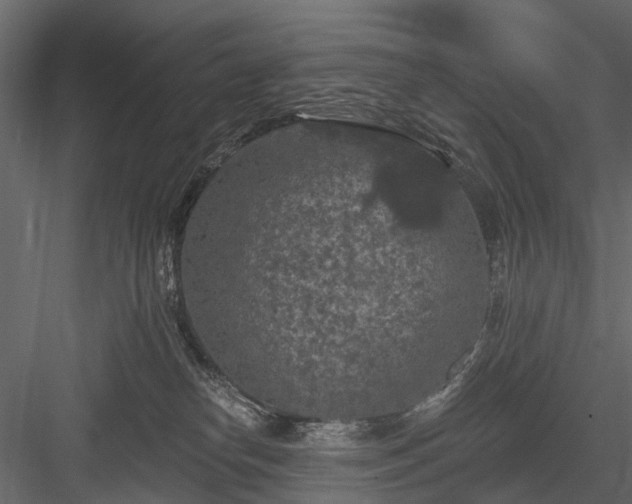 X0000084050182200702240001