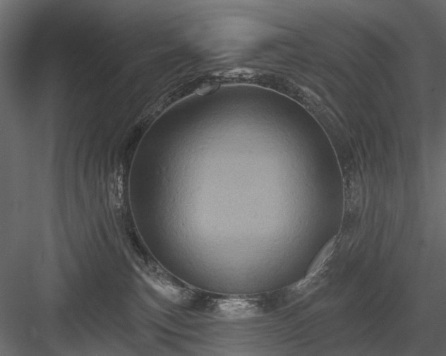 X0000084050183200702240001