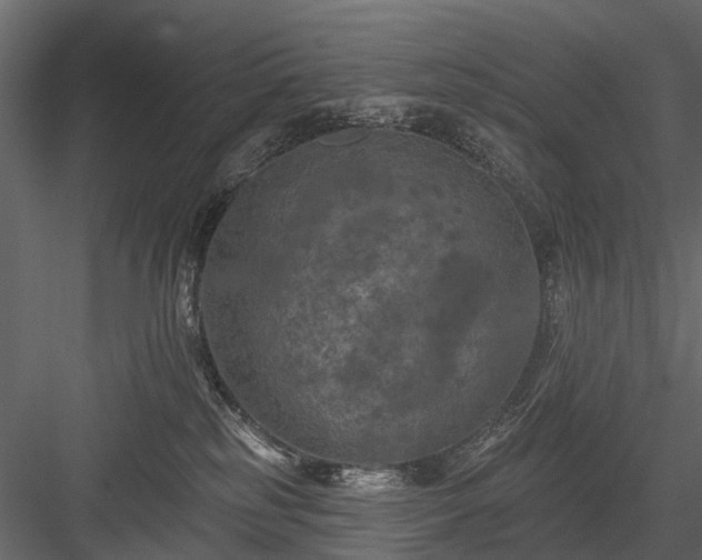 X0000084050185200702240001