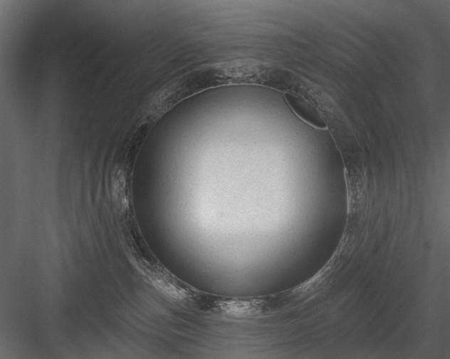 X0000084050187200702240001