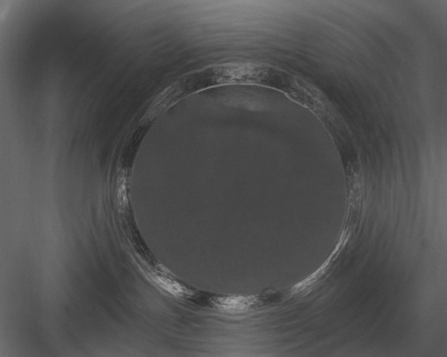 X0000084050191200702240001