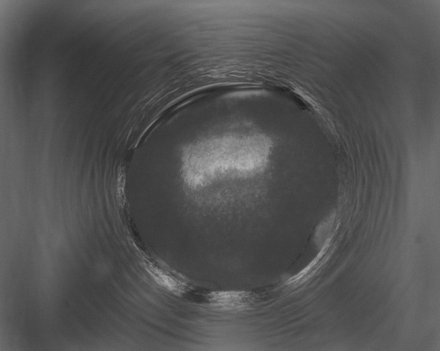 X0000084050192200702240001