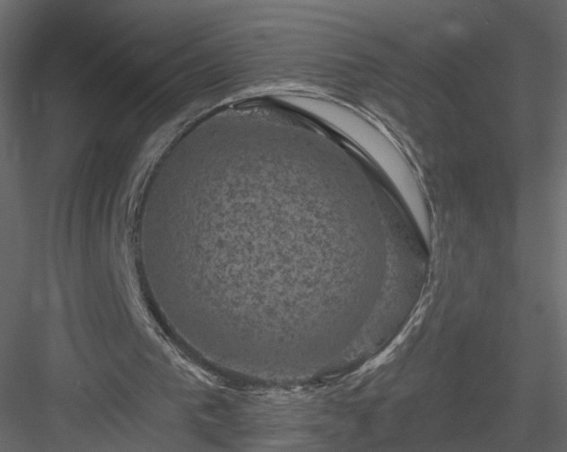 X0000084050193200702240000