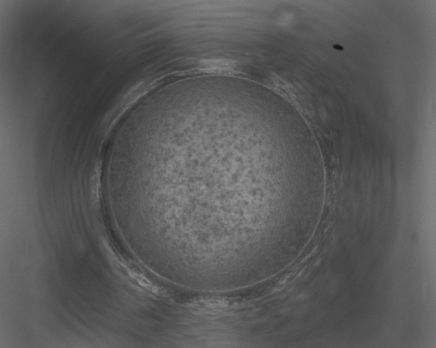 X0000084050194200702240000