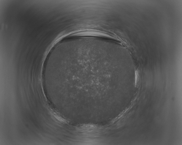 X0000084050195200702240000