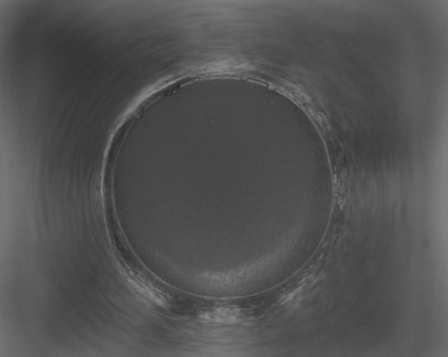 X0000084050196200702240000