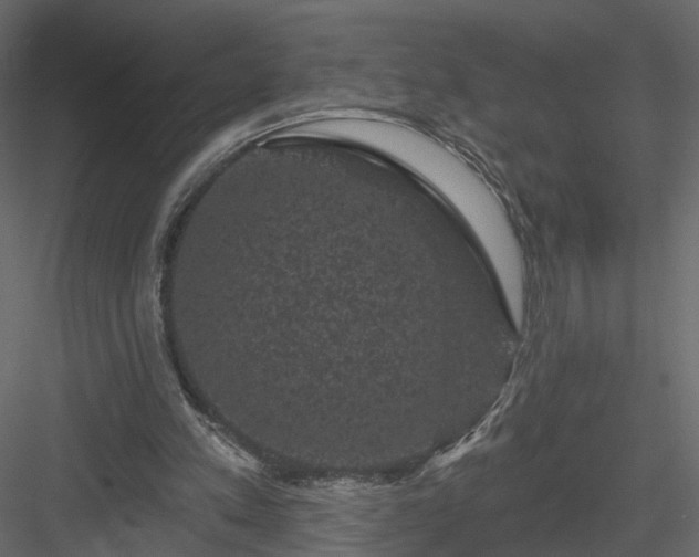 X0000084050197200702240000