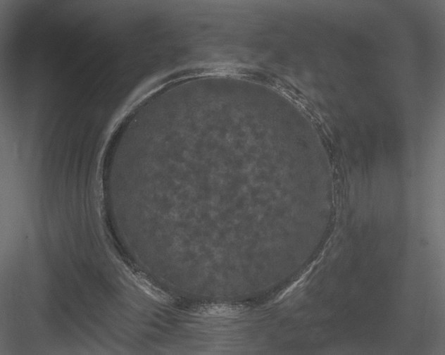 X0000084050198200702240000