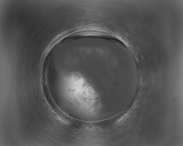 X0000084050199200702240000