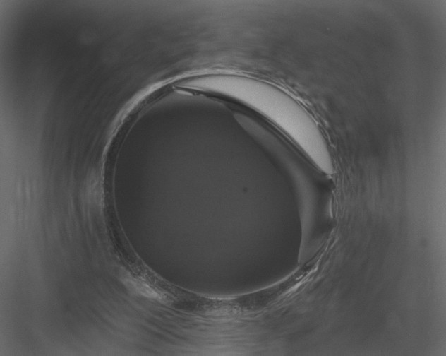 X0000084050200200702240000