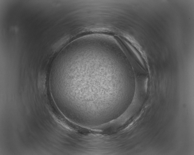 X0000084050201200702240000