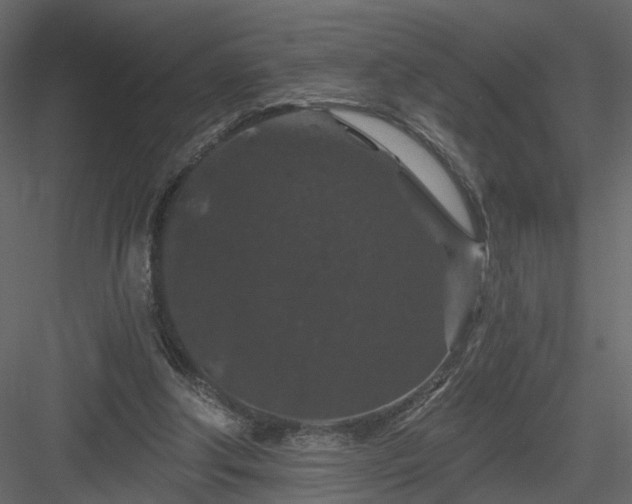 X0000084050202200702240000