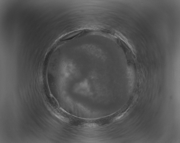 X0000084050203200702240000