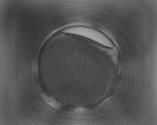 X0000084050204200702240000