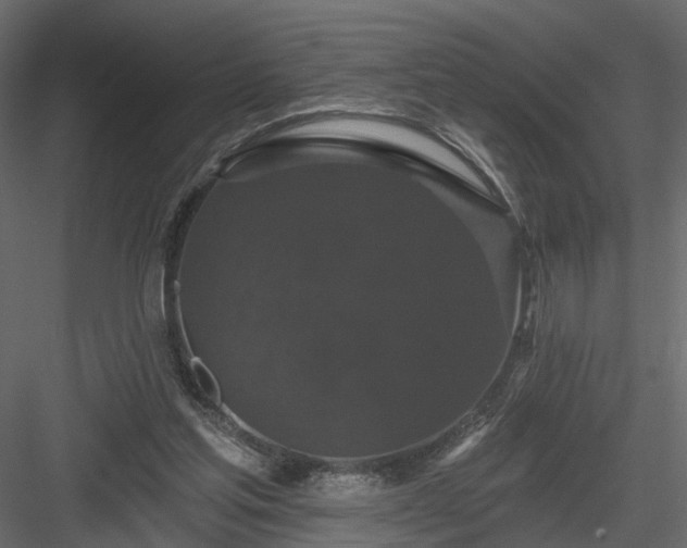 X0000084050205200702240000