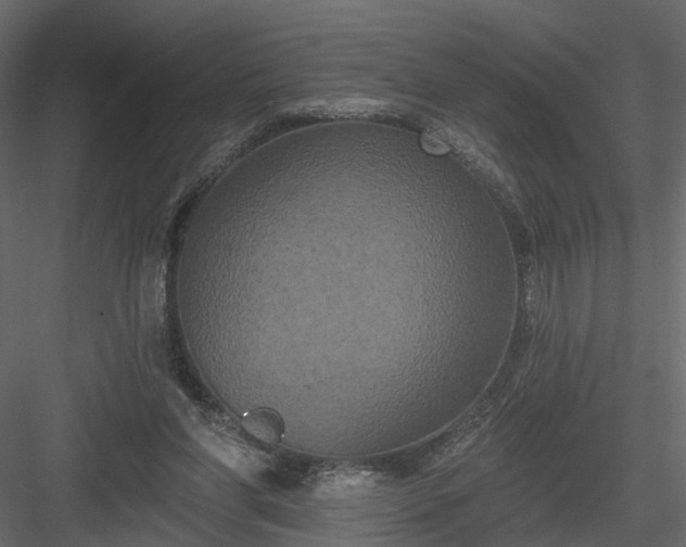 X0000084050206200702240000