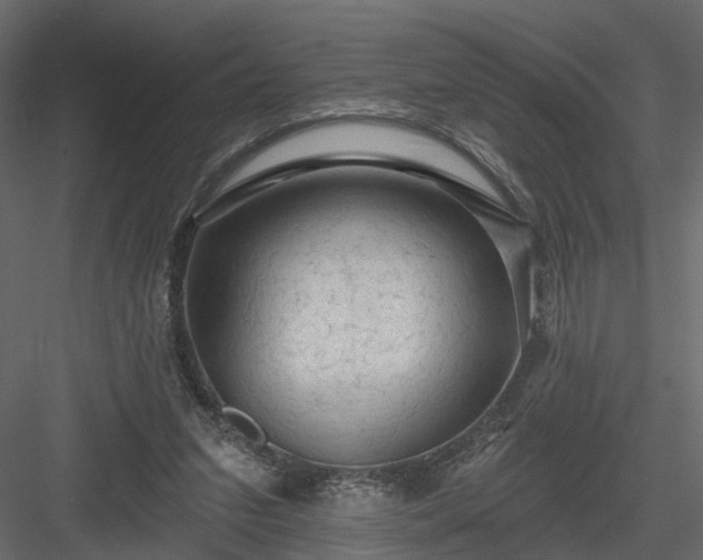 X0000084050207200702240000