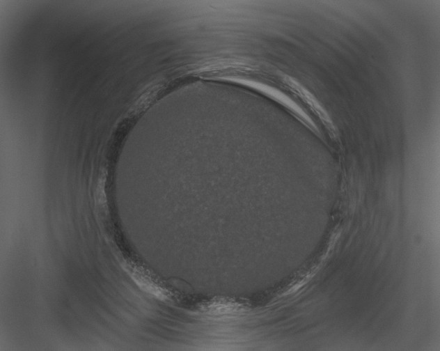 X0000084050209200702240000