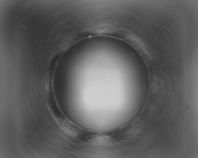 X0000084050210200702240000