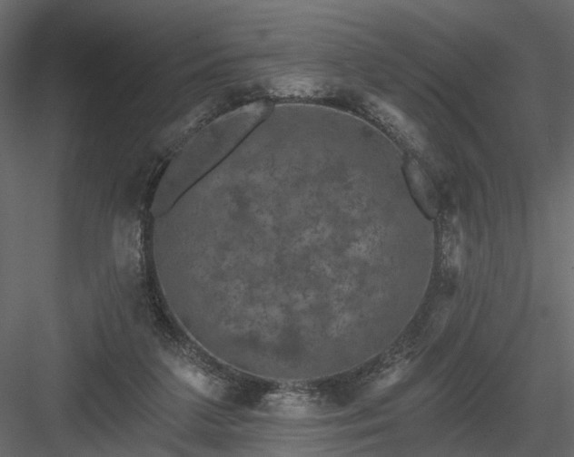 X0000084050211200702240000