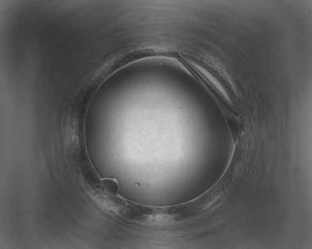 X0000084050212200702240000