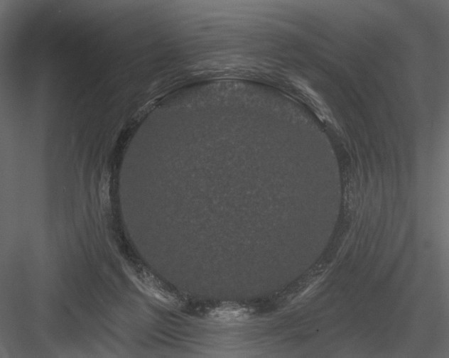 X0000084050213200702240000