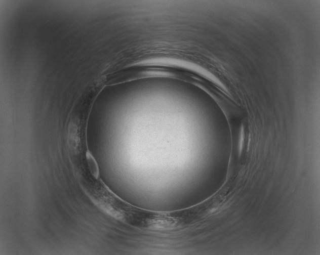 X0000084050215200702240000