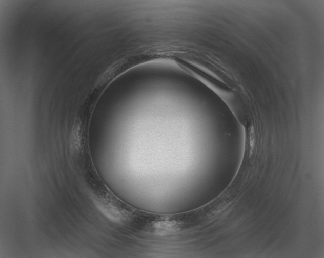 X0000084050216200702240000