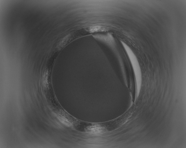 X0000084050219200702240000