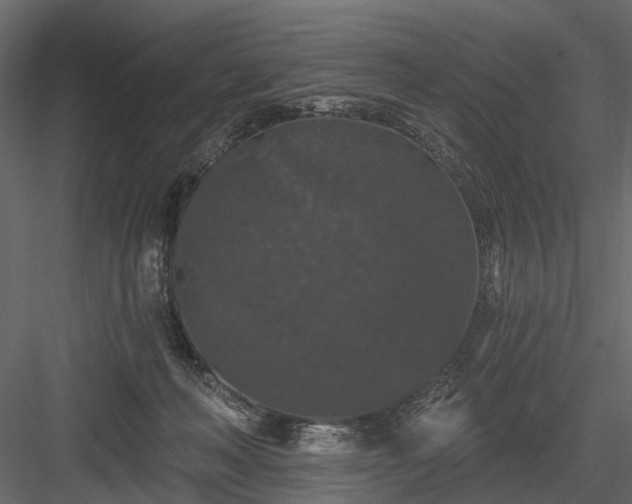 X0000084050222200702240000