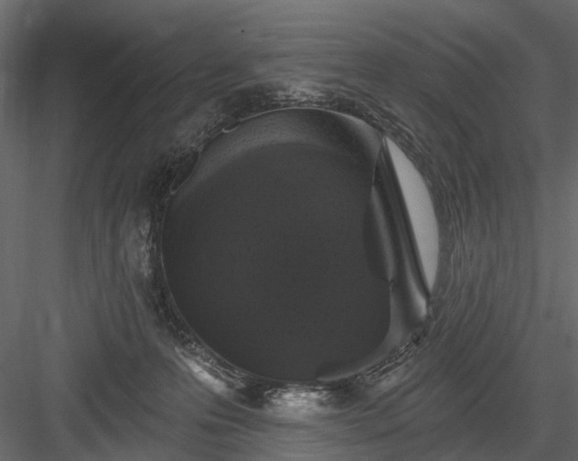 X0000084050223200702240000