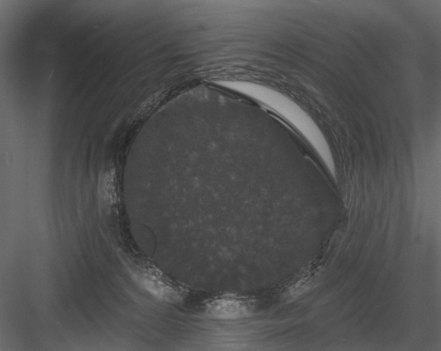 X0000084050224200702240000